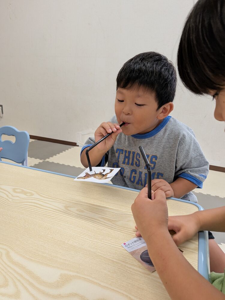 ブログ画像