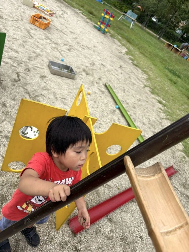 ブログ画像